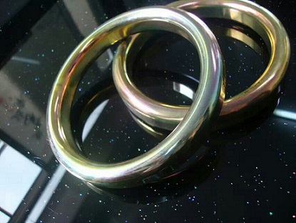 Oval Ring Joint Gasket